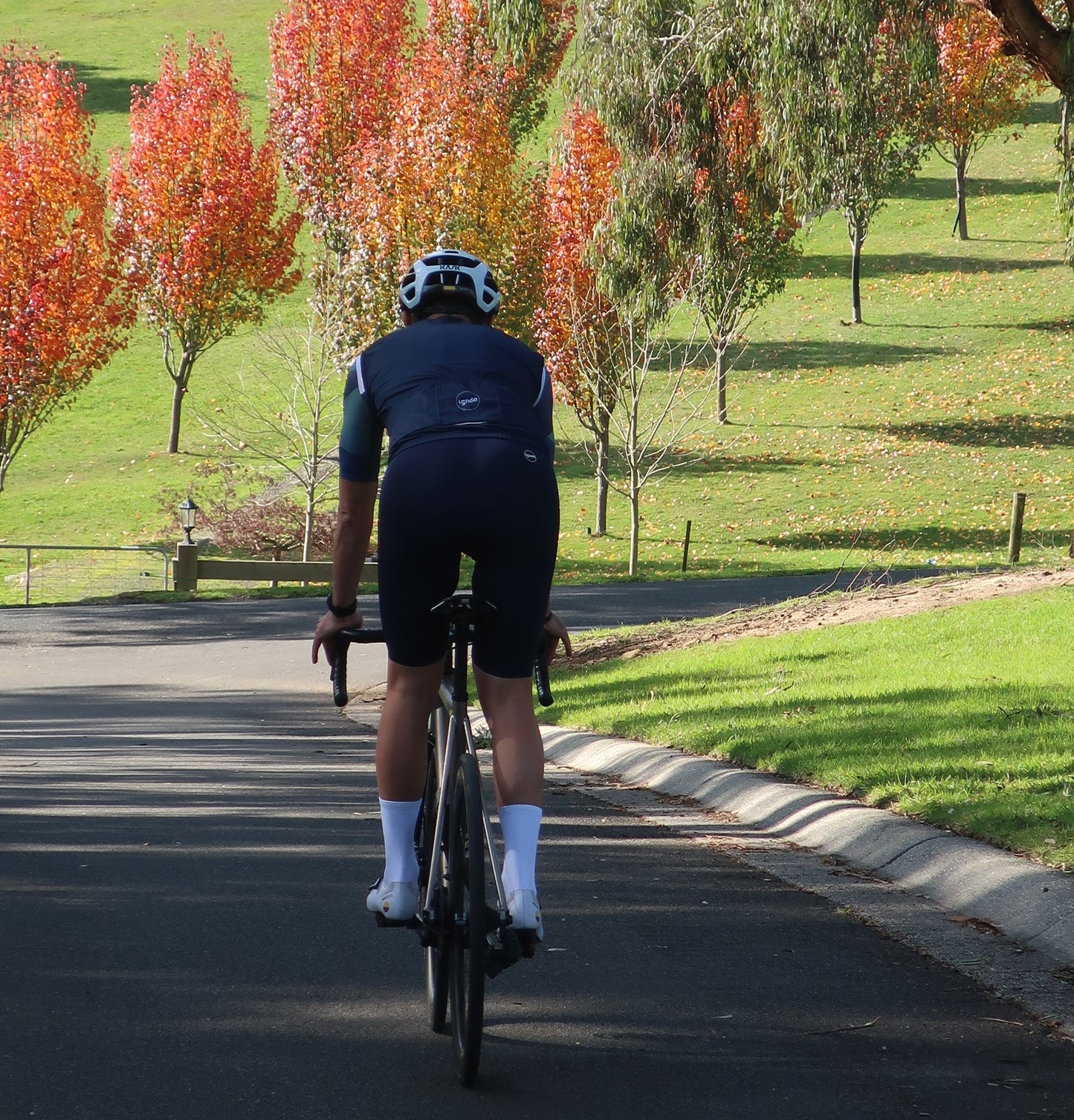 Men's Cycling Bib Shorts Navy